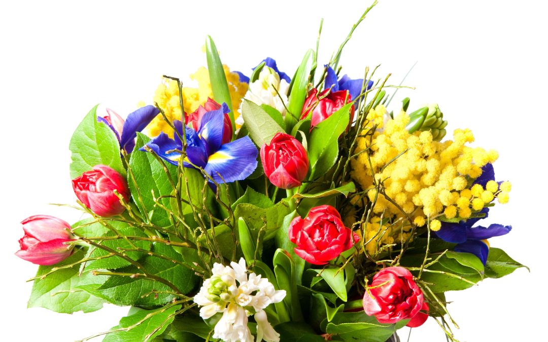 Brighten Someone’s Day with Spring Flower Delivery in Estero, FL